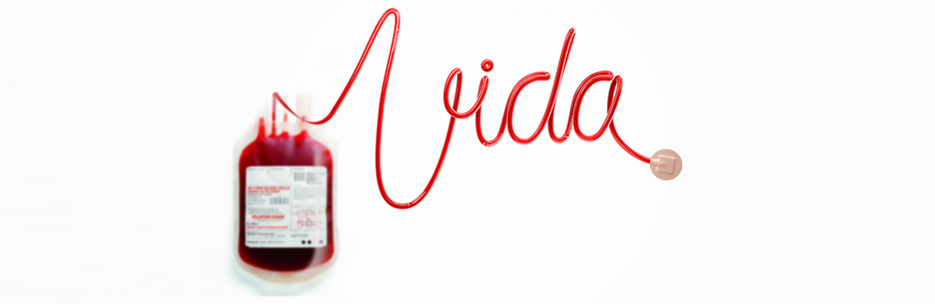 Nova campanha de doação de sangue “Você é nosso tipo!”
