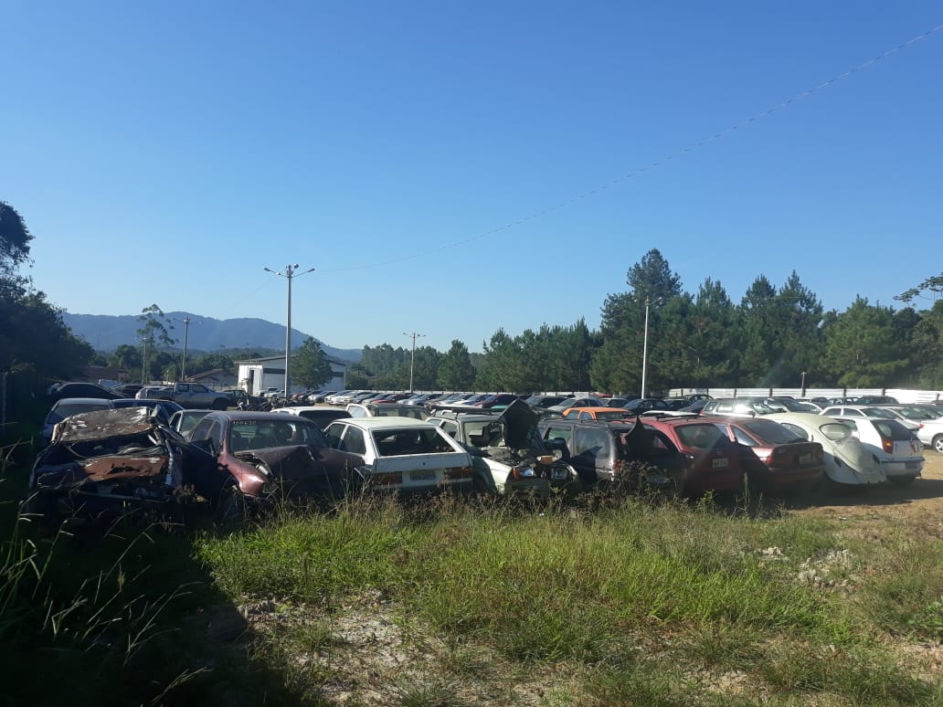 Detran fará leilão de veículos e  pátio está aberto para a visitação