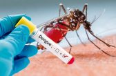 Schroeder confirma o primeiro caso autóctone de dengue