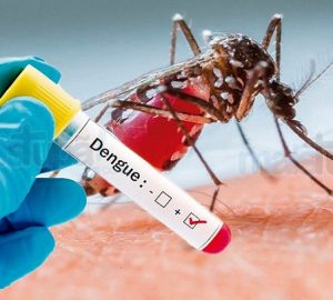Schroeder confirma o primeiro caso autóctone de dengue