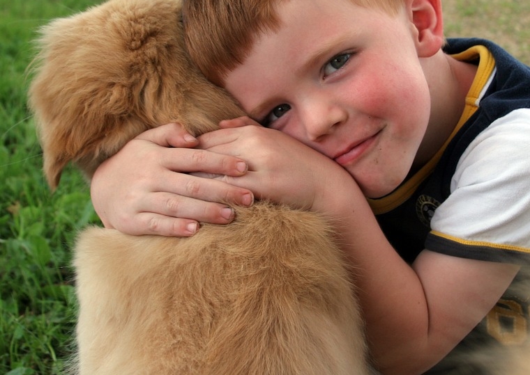 Sábado tem feira de adoção de cães