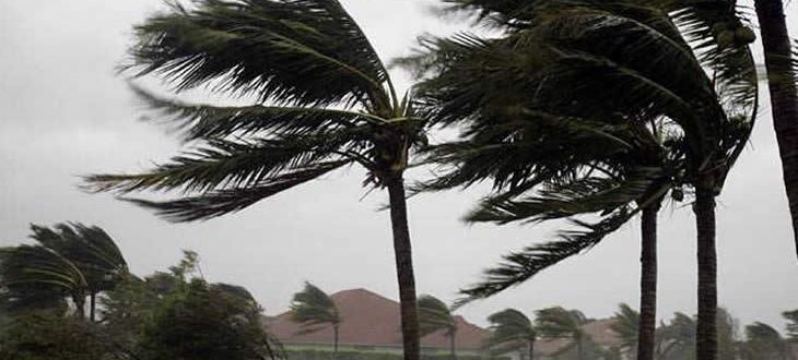 Defesa Civil de SC emite alerta para rajadas de vento entre hoje e quinta-feira