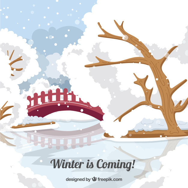 Coluna: O outro lado da ponte