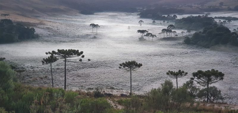 Frio intenso em SC a partir de quarta-feira (1)