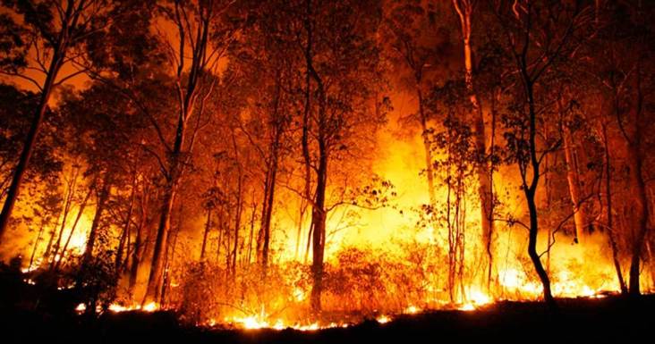 Governo Federal proíbe queimadas no Brasil por quatro meses