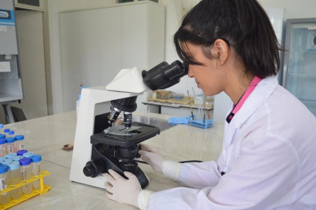 Pesquisadores de SC desenvolvem teste rápido e inovador para Covid-19