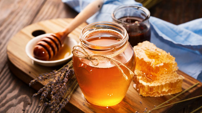 Mel da abelha sem ferrão é regulamentado em Santa Catarina