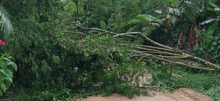 Defesa Civil monitora alerta para deslizamentos em Jaraguá do Sul Defesa Civil monitora alerta para deslizamentos em Jaraguá do Sul