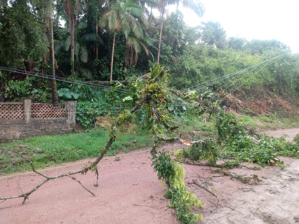 Chuvas causas fortes estragos em localidades de Corupá
