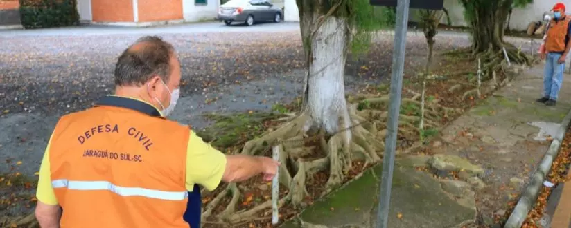 Rua Marina Frutuoso em Jaraguá do Sul estará interditada neste fim de semana para corte de árvores Rua Marina Frutuoso em Jaraguá do Sul estará interditada neste fim de semana para corte de árvores