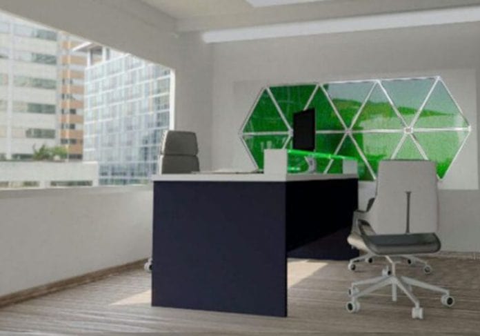 Jovem desenvolve painéis feitos de algas que limpam ar interno