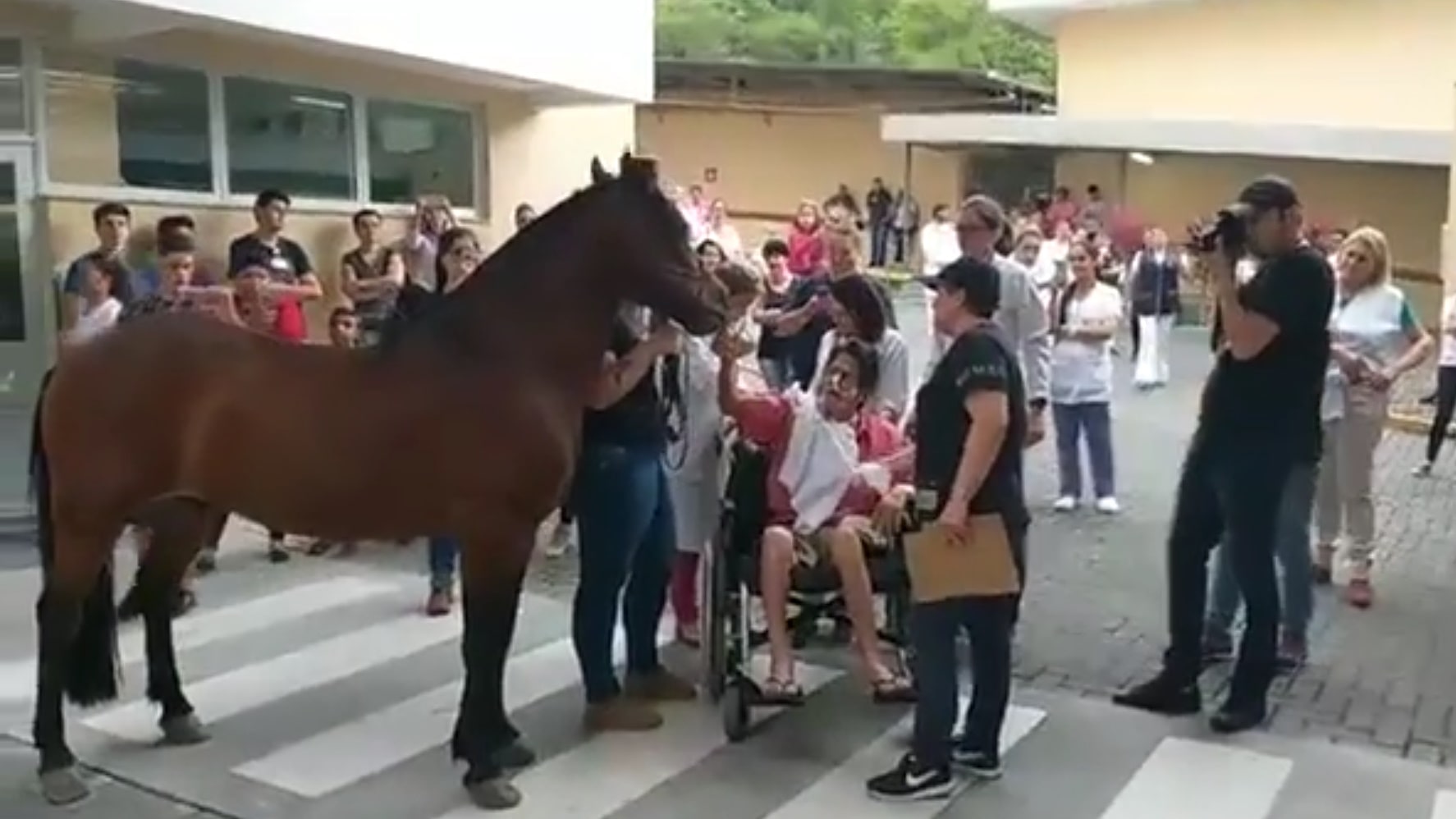 [VÍDEO] Morador que recebeu visita do cavalo no hospital morre vítima de câncer em Jaraguá do Sul