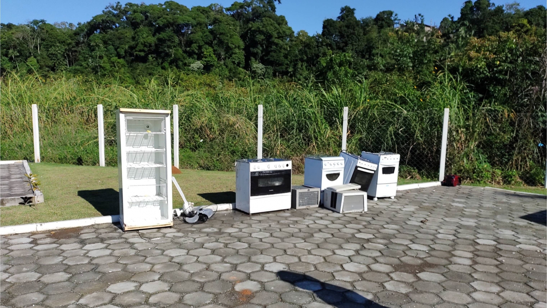 Nina Camello sugere doação de artigos descartados no PEV de Jaraguá do Sul para famílias