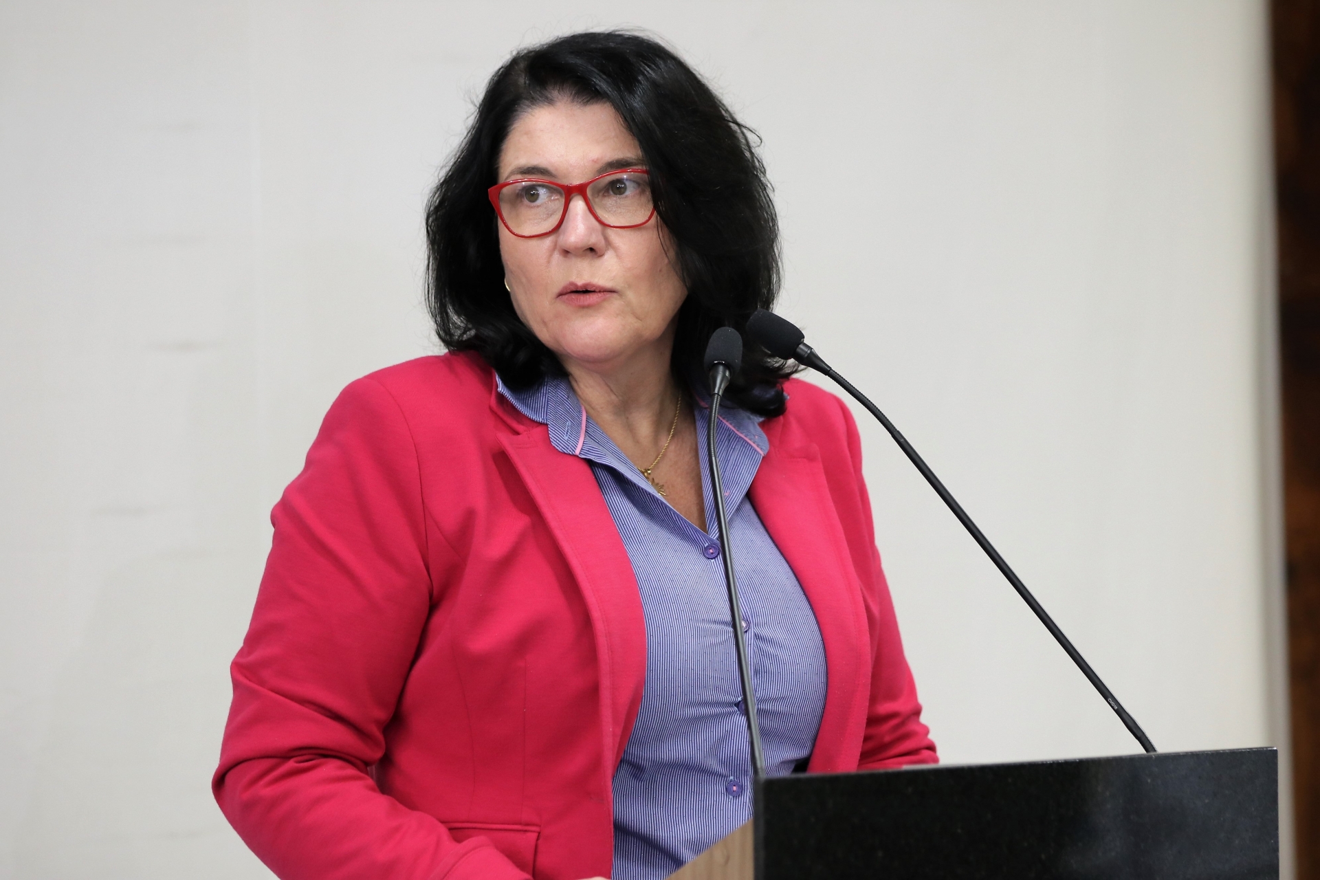 Vereadora de Jaraguá do Sul questiona terreno e atraso de obra para escola