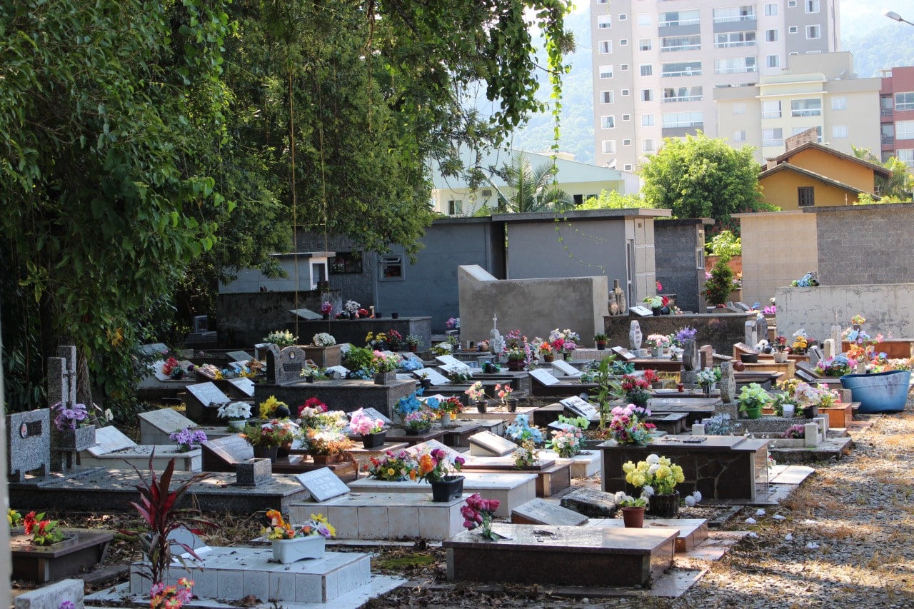 Quatro focos do mosquito da dengue são encontrados no cemitério central de Jaraguá do Sul