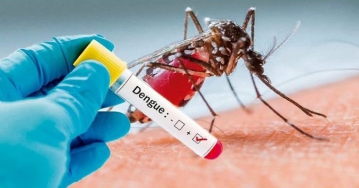 Guaramirim segue com orientações visando o combate da dengue