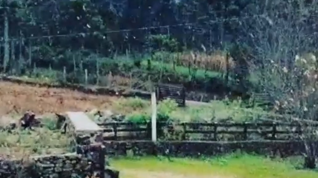 [VÍDEO] Primeira neve do ano é registrada em São Joaquim nesta segunda-feira
