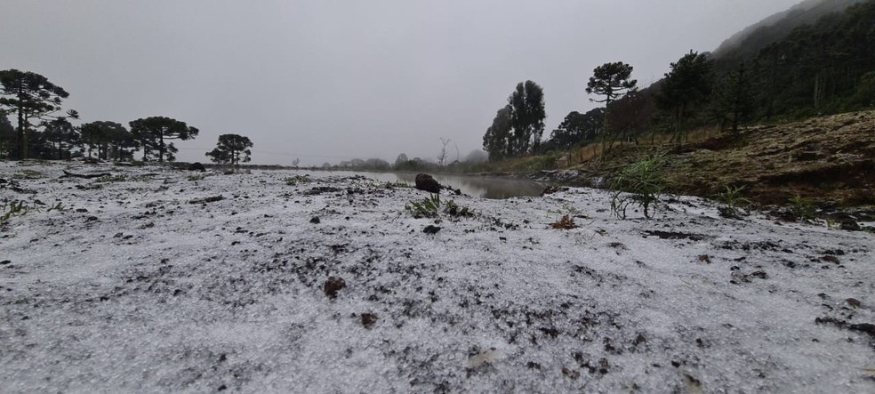 Neve pode cair em mais de 20 cidades de Santa Catarina nesta terça-feira, segundo Inmet