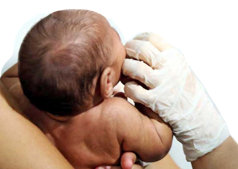 SC ‘sai da curva’ nacional e número de nascimentos supera o de mortes