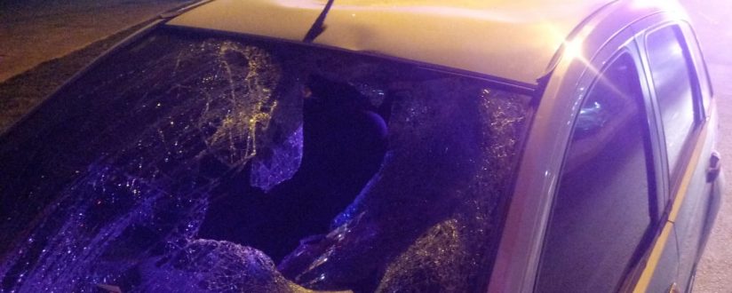 Homem tem fratura exposta e traumatismo craniano em atropelamento na BR-280 em Guaramirim Homem tem fratura exposta e traumatismo craniano em atropelamento na BR-280 em Guaramirim