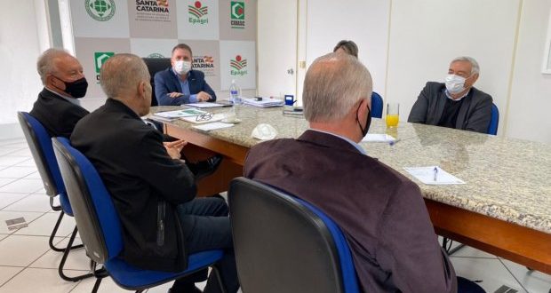 Agronegócio catarinense busca alternativas para o abastecimento de milho Agronegócio catarinense busca alternativas para o abastecimento de milho