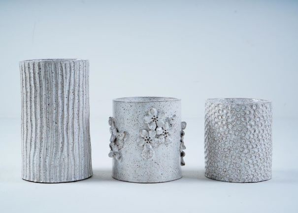 Apae de Jaraguá do Sul divulga leilão “Arte para a Arte” em sessão da Câmara de Vereadores