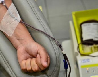 Bancos de sangue fazem campanha para aumentar doações e salvar vidas