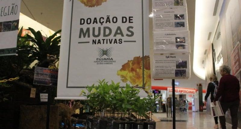 Fujama distribui mudas frutíferas e nativas neste sábado no Centro de Jaraguá Fujama distribui mudas frutíferas e nativas neste sábado no Centro de Jaraguá