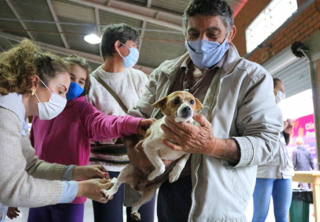 340 animais foram castrados em evento da Fujama nos bairros Santo Antônio e Jaraguá 84