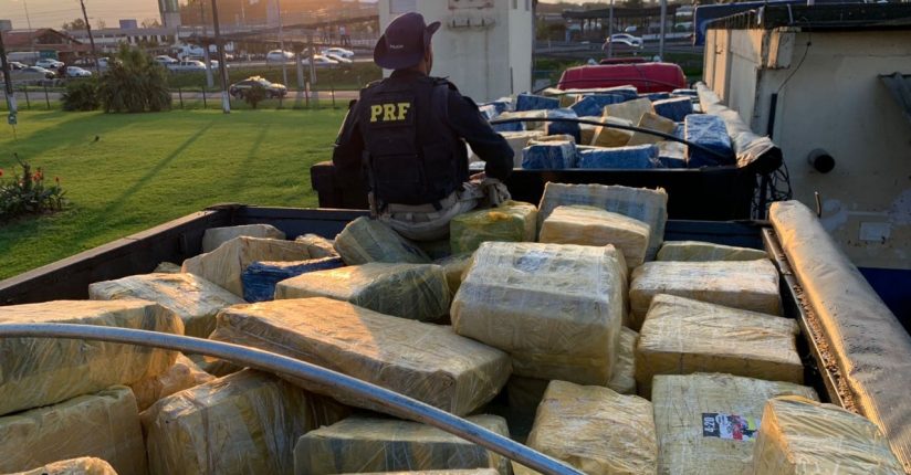 Ação conjunta da PF e PRF apreende mais de 24,5 toneladas de maconha na BR-101 Ação conjunta da PF e PRF apreende mais de 24,5 toneladas de maconha na BR-101