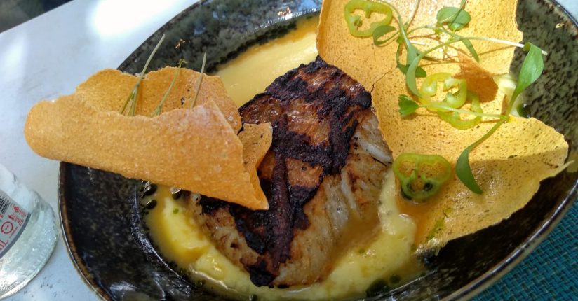 Coluna: Peixe na Brasa com Vinagrete de Cítricos – Felipe Bronze Coluna: Peixe na Brasa com Vinagrete de Cítricos – Felipe Bronze
