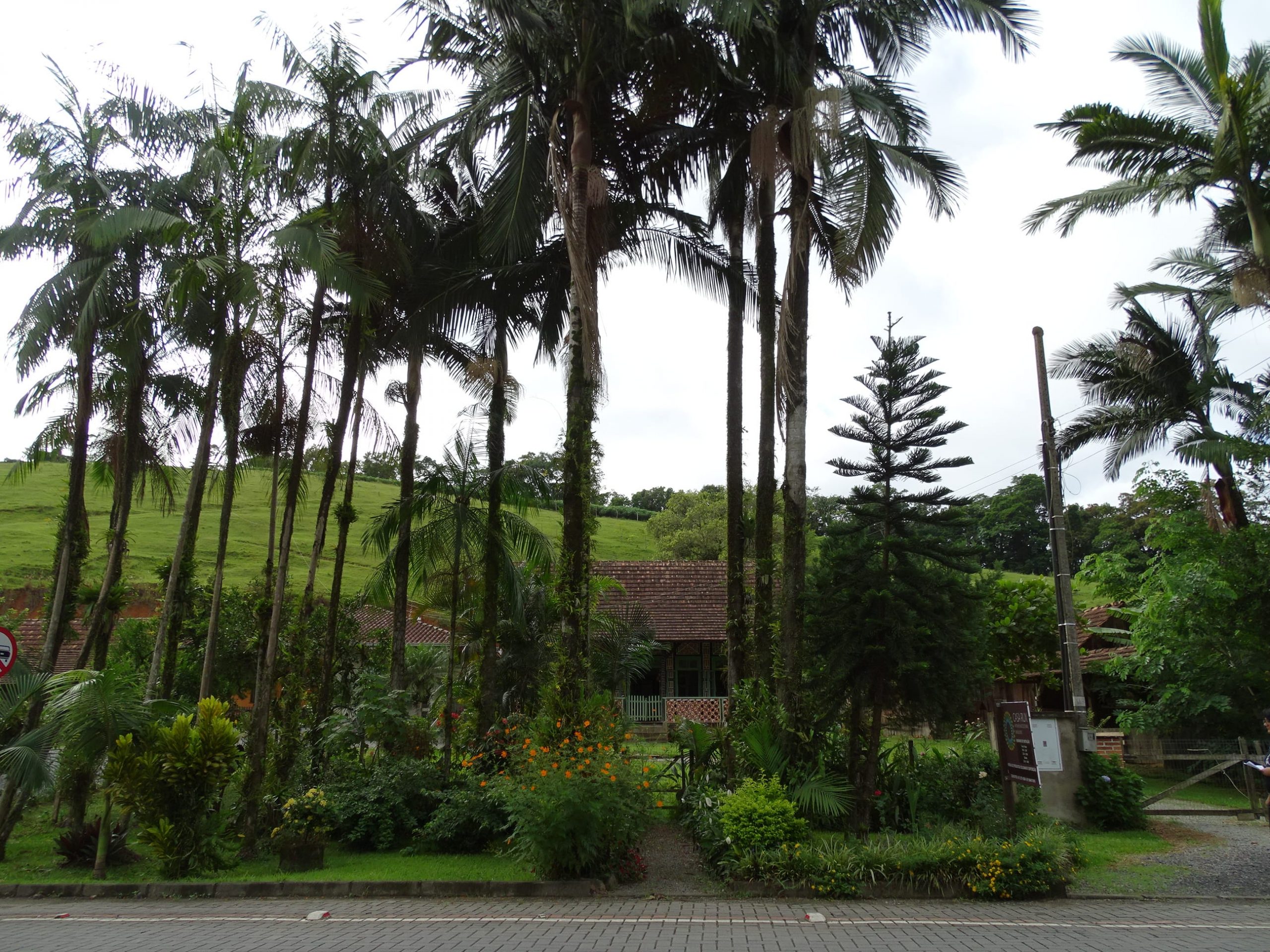 Edital do concurso cultural de jardins rurais é publicado no Diário Oficial de Jaraguá do Sul