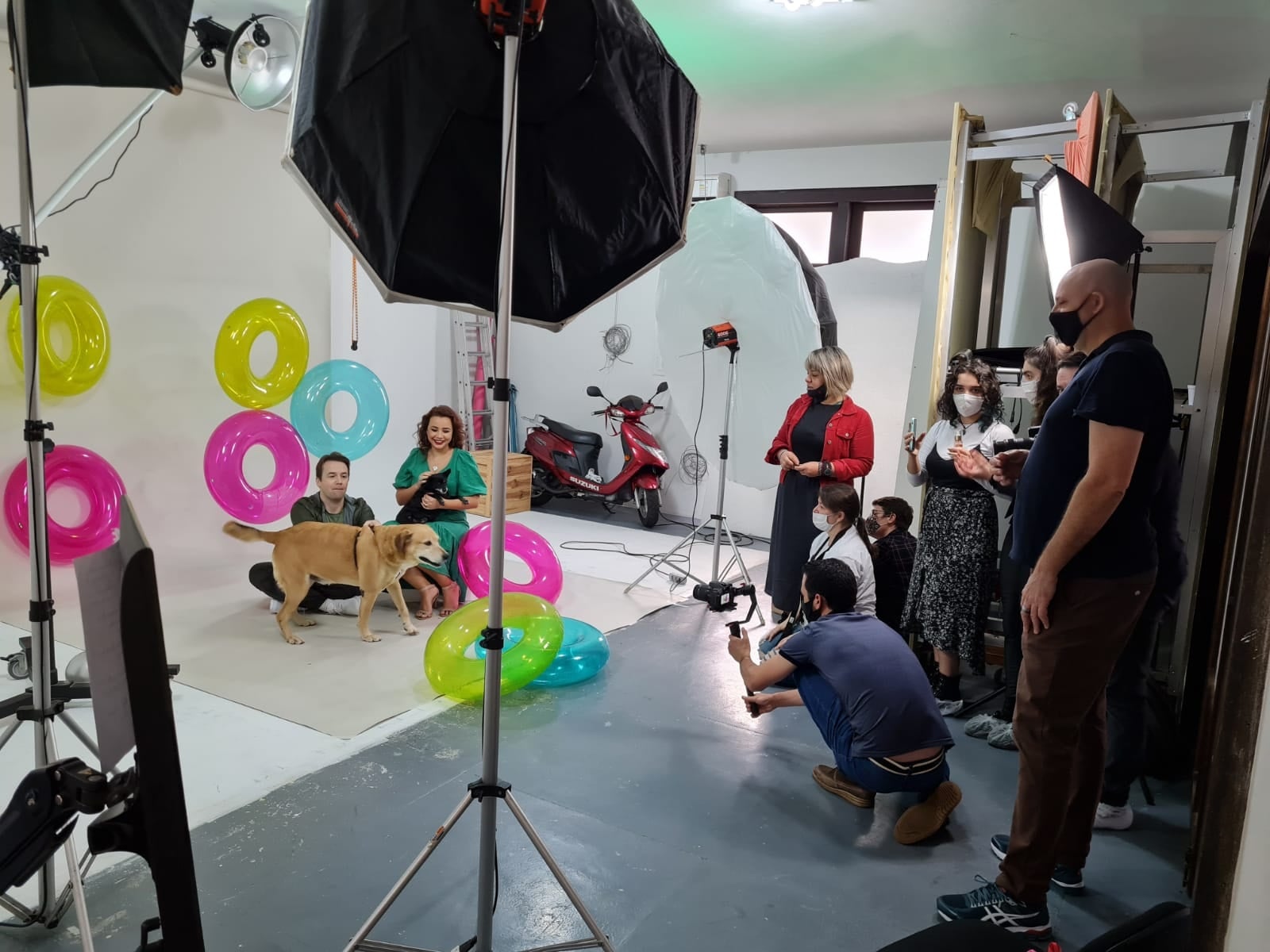 Iniciativa vai estimular adoção e reduzir abandono de pets na região