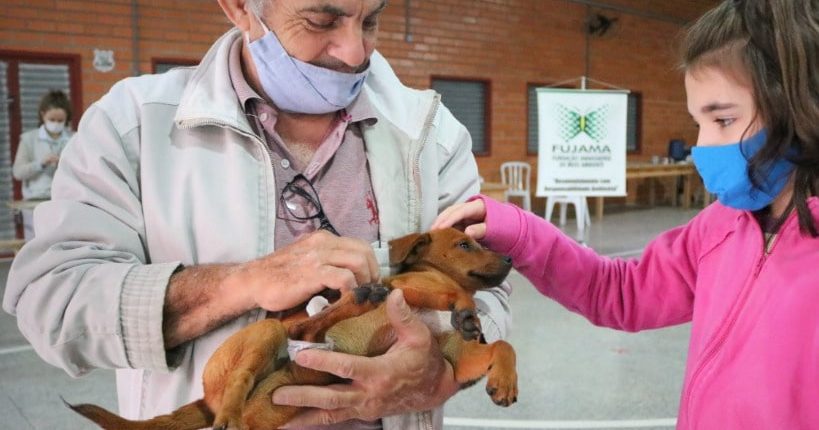 Fujama abre inscrições para castração de cães e gatos nos bairros Figueira e João Pessoa em Jaraguá Fujama abre inscrições para castração de cães e gatos nos bairros Figueira e João Pessoa em Jaraguá