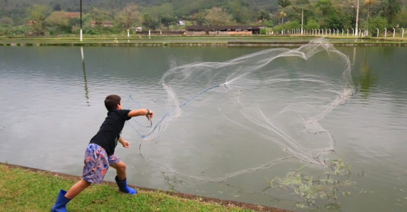 50% dos criadores de tilápias de Jaraguá usam técnicas de cultivo adequadas 50% dos criadores de tilápias de Jaraguá usam técnicas de cultivo adequadas
