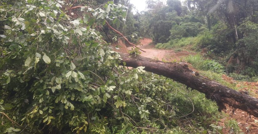 Deslizamento de terra é registrado em Jaraguá do Sul Deslizamento de terra é registrado em Jaraguá do Sul
