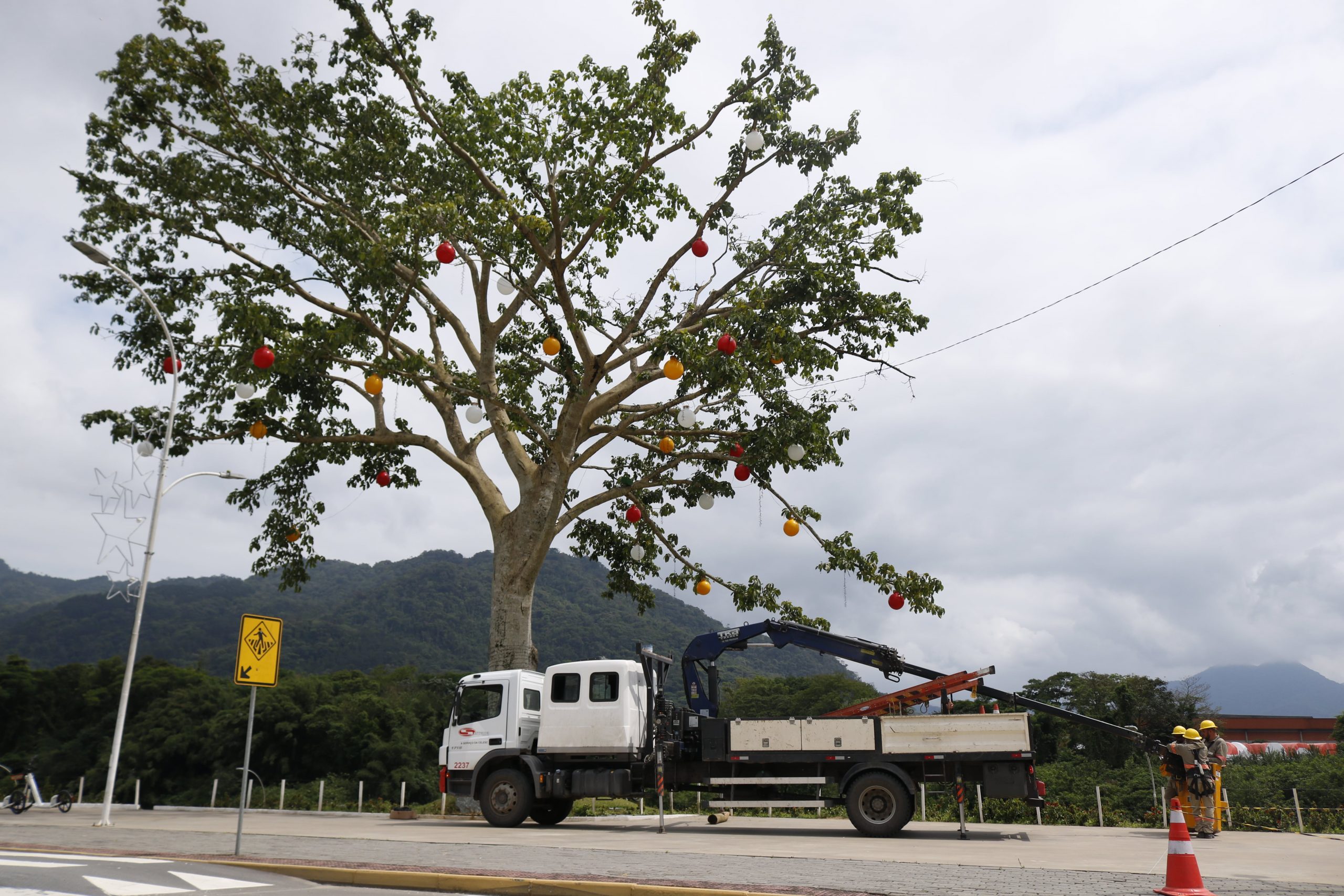 Decoração e luzes de Natal serão inauguradas na segunda-feira em Jaraguá do Sul