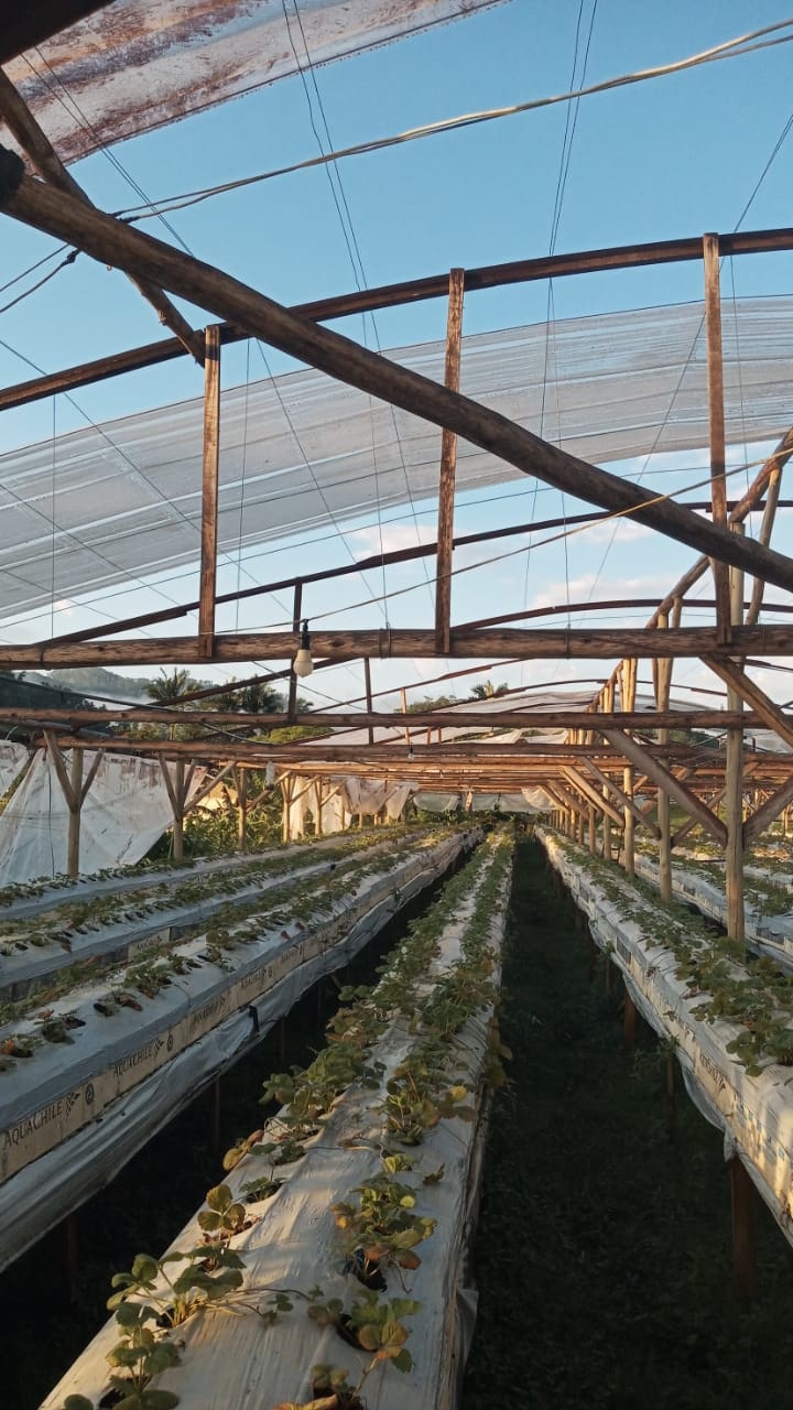 Em 15 minutos choveu em torno de 50 milímetros neste domingo em Jaraguá, segundo Defesa Civil de SC