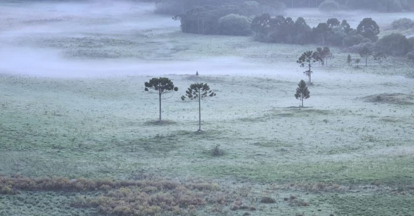 Serra catarinense amanhece com geada nesta quarta-feira Serra catarinense amanhece com geada nesta quarta-feira