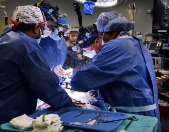 Cirurgiões americanos transplantam com sucesso coração de porco geneticamente modificado em humano