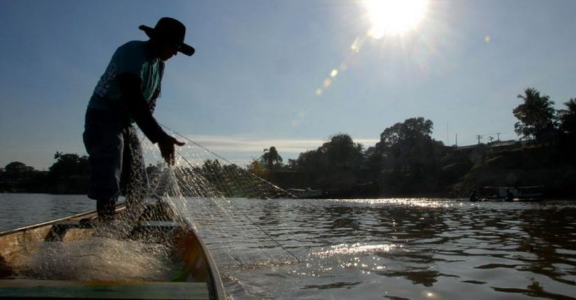 Pescadores artesanais terão nova linha de crédito, anuncia Caixa