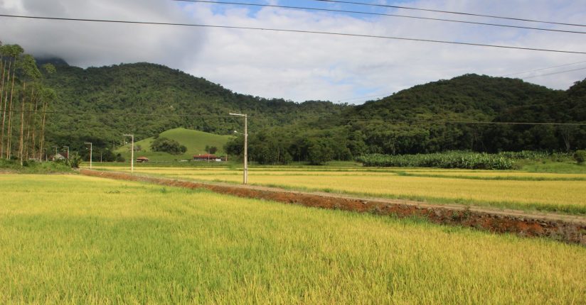 Terra Legal chama proprietários rurais para apresentar documentos em Guaramirim