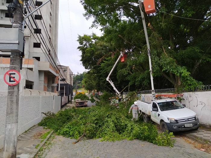 Vegetação em contato com a rede elétrica causa 17% das interrupções na região