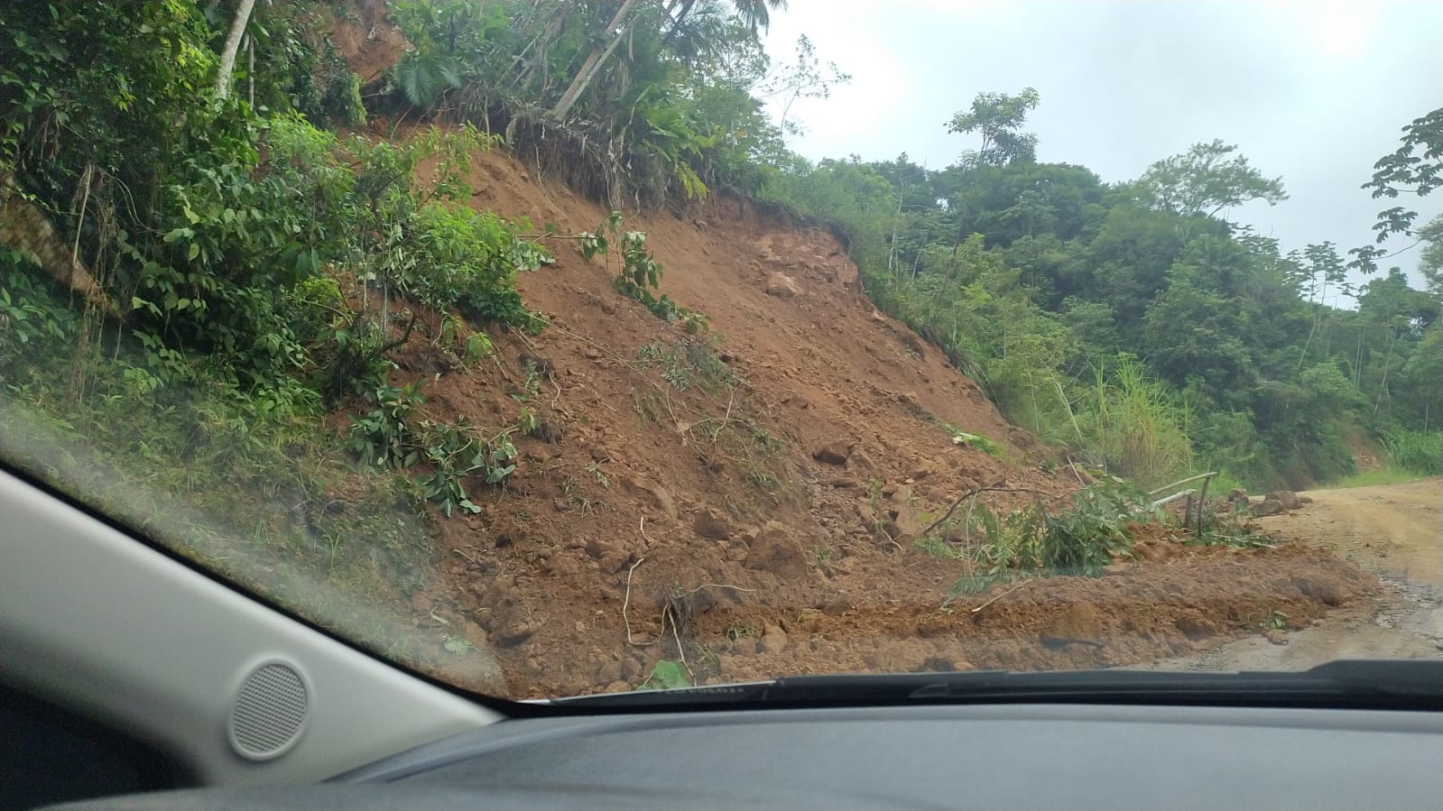 Defesa Civil registra três quedas de árvores e queda de barreira em Jaraguá do Sul