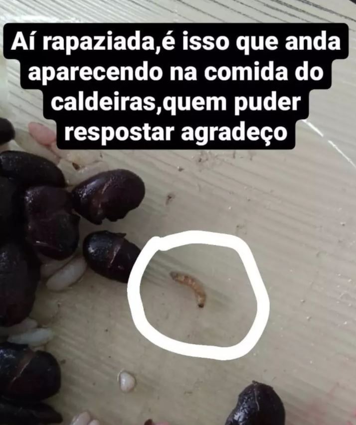 Larva é encontrada em merenda de escola estadual de SC