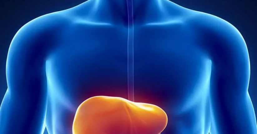 Segundo caso suspeito de hepatite grave de origem desconhecida é registrado em SC Segundo caso suspeito de hepatite grave de origem desconhecida é registrado em SC