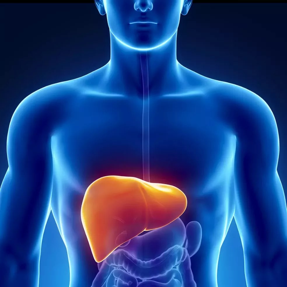 Segundo caso suspeito de hepatite grave de origem desconhecida é registrado em SC