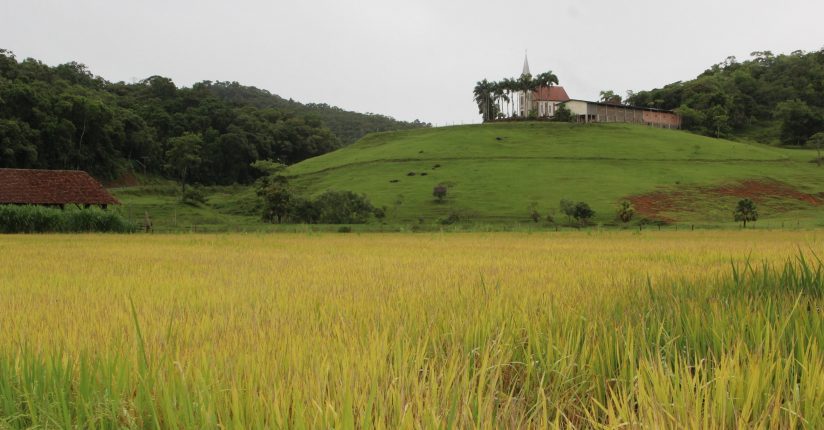 Moção pede apoio à crise do setor da produção de arroz em Guaramirim
