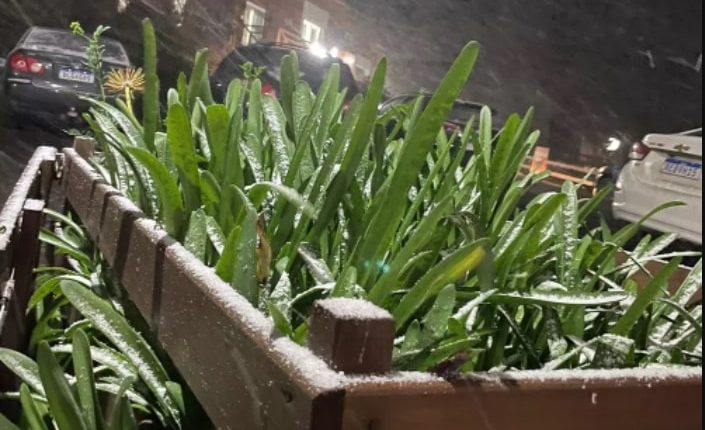 Serra catarinense registra neve pelo segundo dia seguido