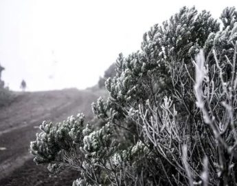 Neve em SC é registrada em Urupema nesta terça-feira